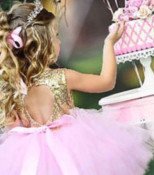 Pink and Gold Sequined Tutu Dress Birthday Photo Shoot Cake Smash