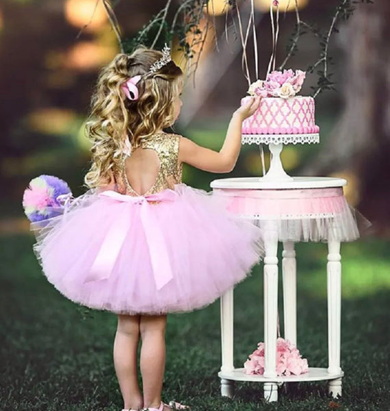 Pink and Gold Sequined Tutu Dress Birthday Photo Shoot Cake Smash